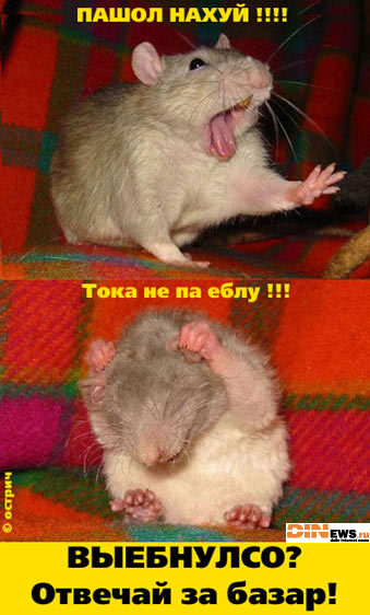 Отвечай за базар! :)