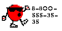 88005553535